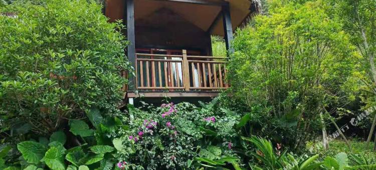 神泉谷木屋客栈图片