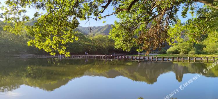 缙云漫境云汐民宿(仙都景区店)图片
