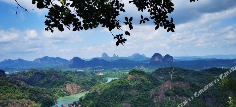 鸟虫鱼木民宿图片