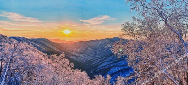 雪谷丁子涵时尚家庭旅馆图片