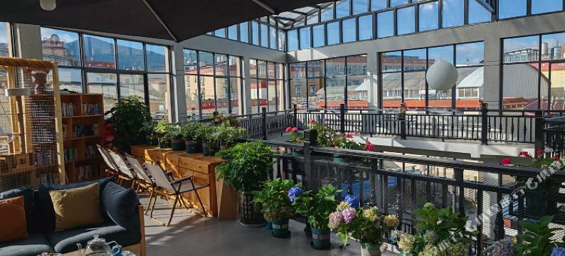 花语·猫咖供氧设计师民宿(香格里拉独克宗古城店)图片