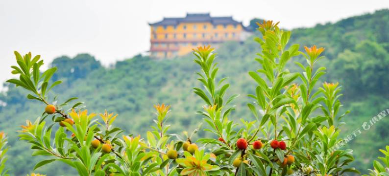 绿野山居度假酒店图片