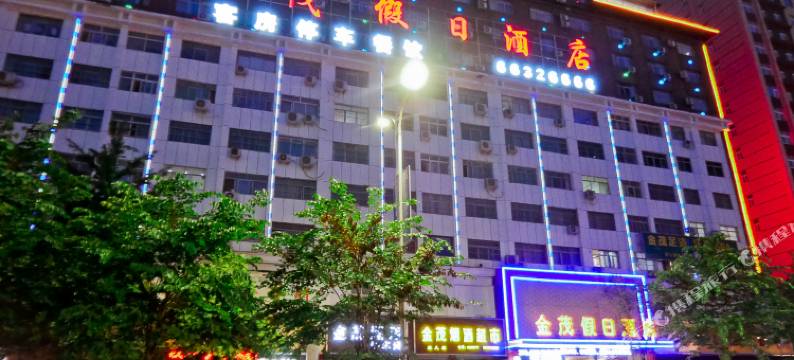 嵩县金茂假日酒店图片