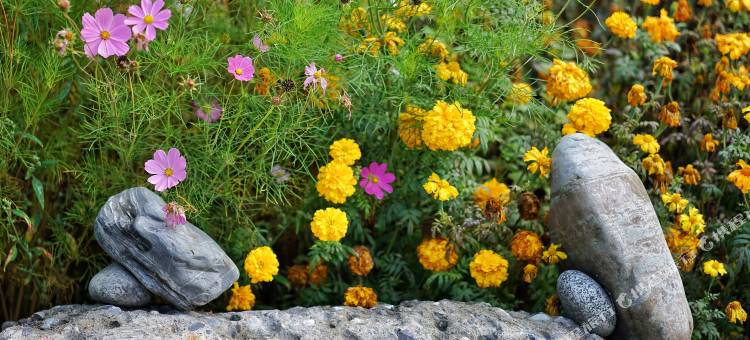 波密平措康桑度假酒店图片