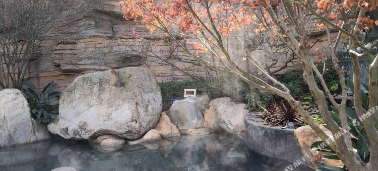 滇缘雅居公寓(环湖东路分店)图片