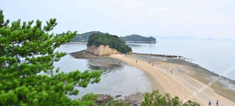 AreaOne酒店-高松(Hotel AreaOne Takamatsu)图片