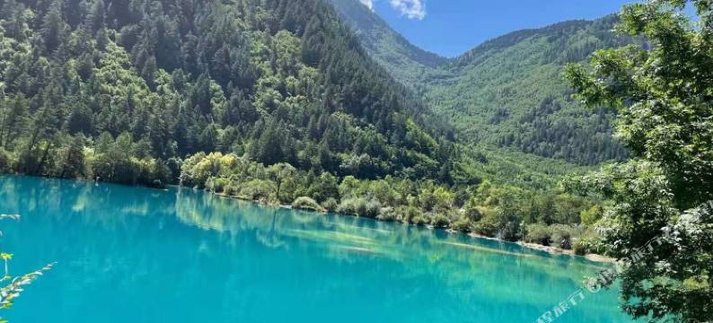 九寨沟意境主题客栈图片