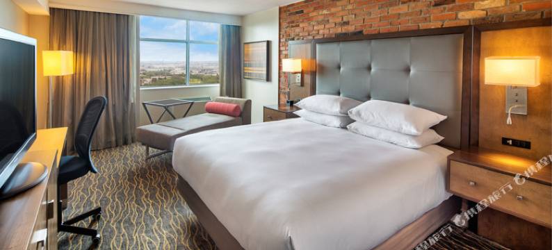 多伦多机场希尔顿逸林酒店(Doubletree by Hilton Toronto Airport)图片