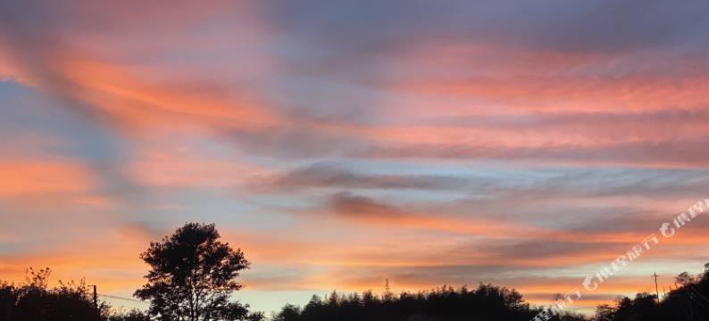 四明山•归来谷民宿图片