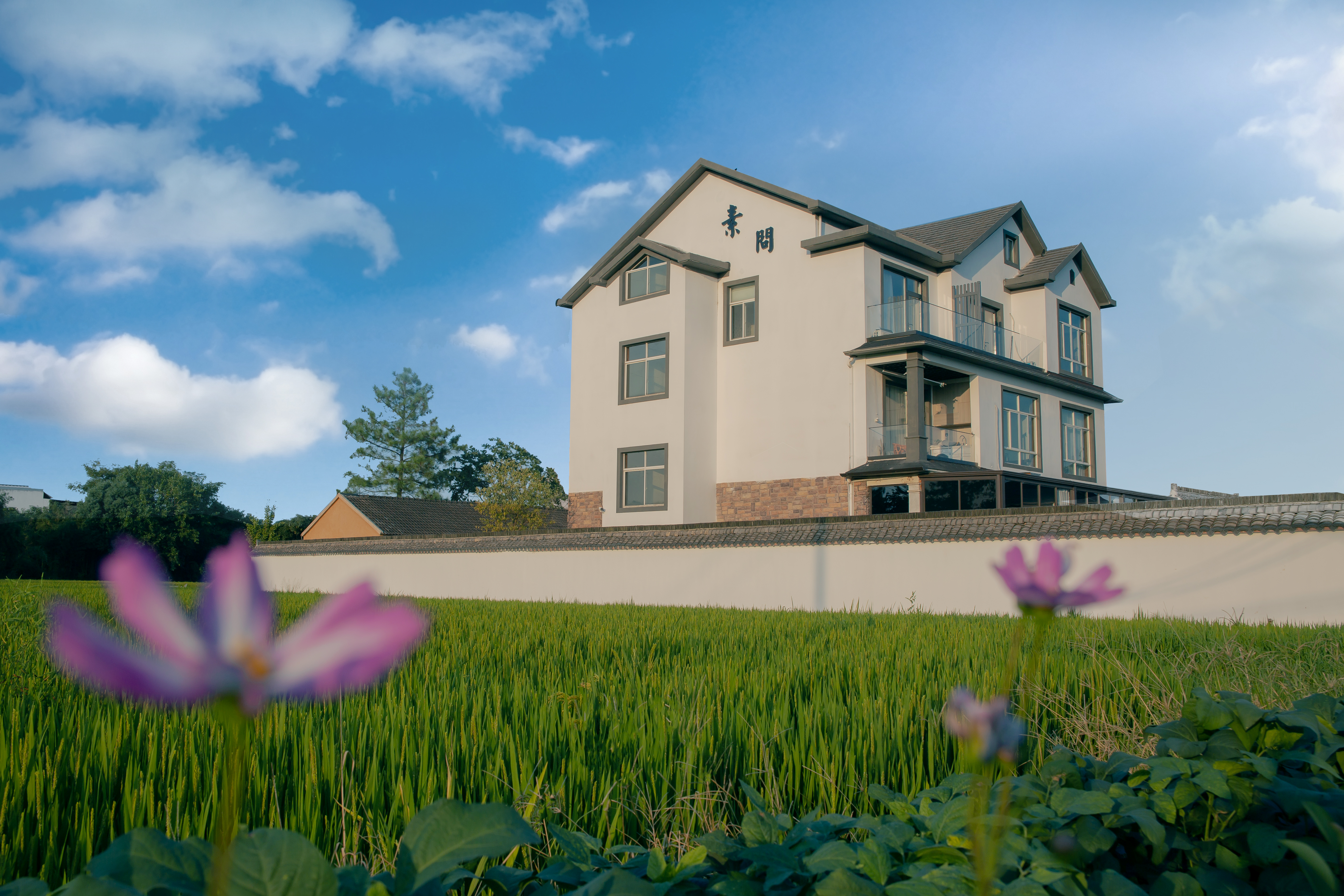 Suwen homestayOver view