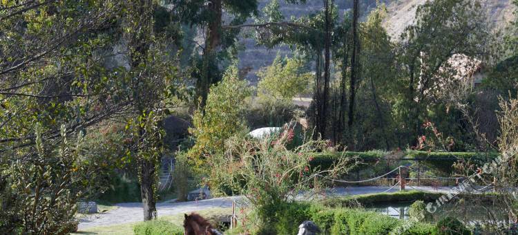 拉斯卡西塔酒店，贝梦德酒店，科尔卡峡谷(Las Casitas, A Belmond Hotel, Colca Canyon)图片