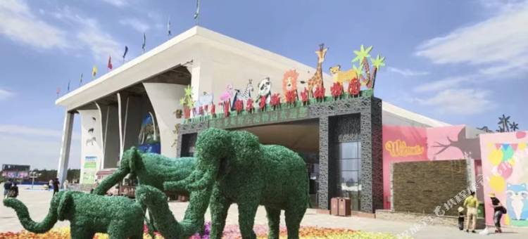 枫彩酒店(鄂尔多斯市民中心店)图片