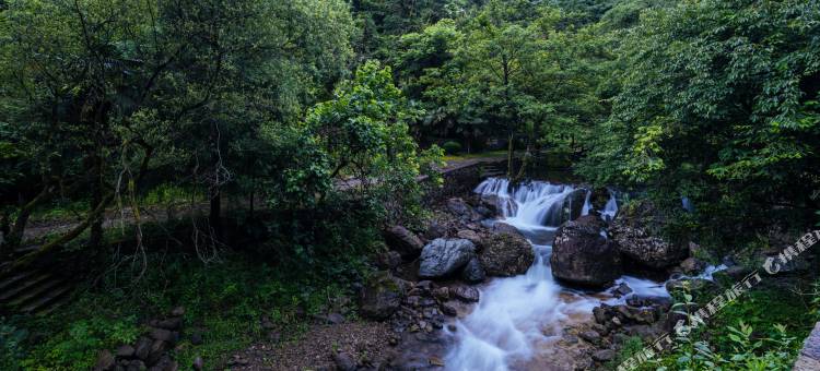 花筑·初见山舍·林泉溯溪·星空草坪·山野度假美墅(花溪村店)图片