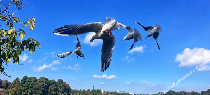 云南滇池温泉花园国际大酒店图片