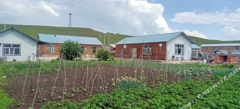 大勇旅游之家(额尔古纳室韦镇临江店)图片