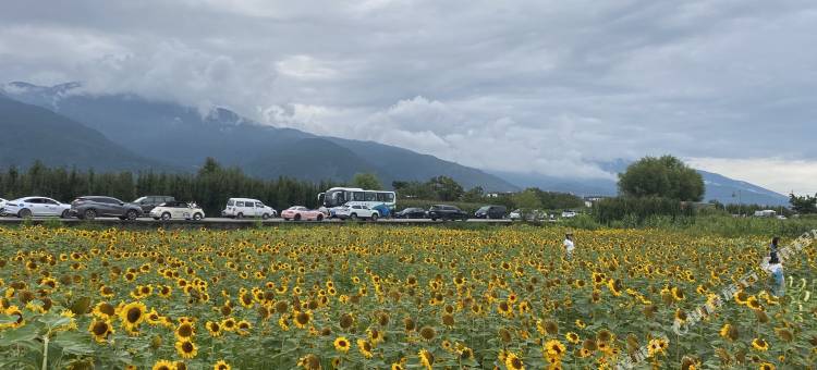 大理天沐云听·山海宿(洱海店)图片