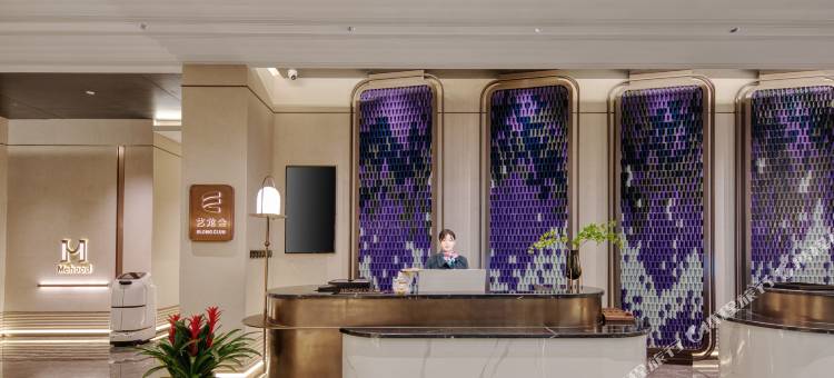 美豪酒店(砚山竜白公园店)图片