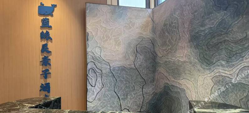 日照蓝鲸灵亲子酒店图片