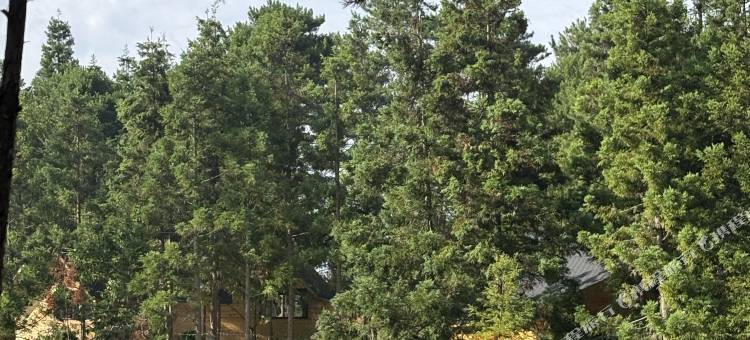 鲸鲨户外露营基地民宿图片