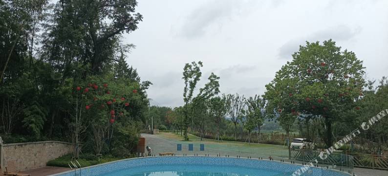 竹林卧虎里酒店图片