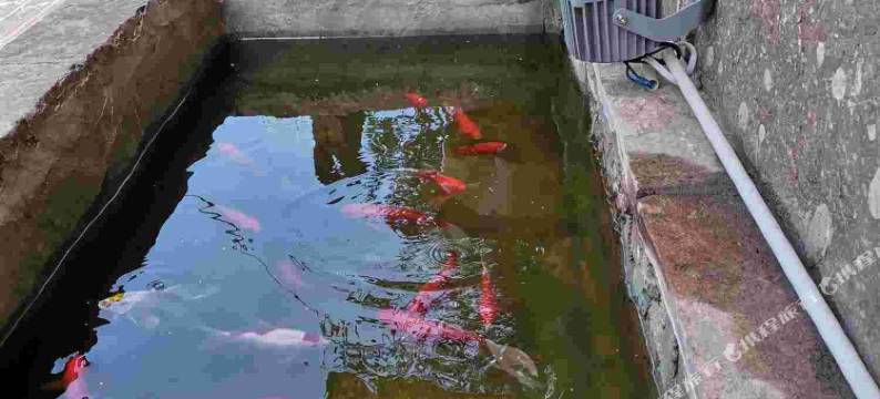 林州庐园民宿图片