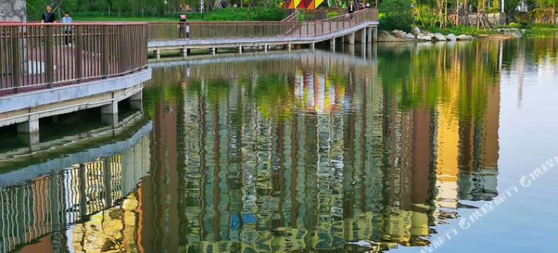 凤凰湖国际酒店图片