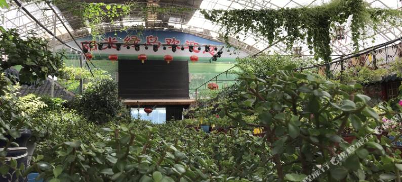 嘉峪关阳光绿岛生态酒店图片