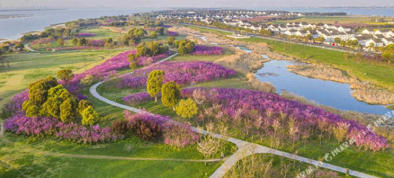 苏州阳澄湖喜柯大酒店图片
