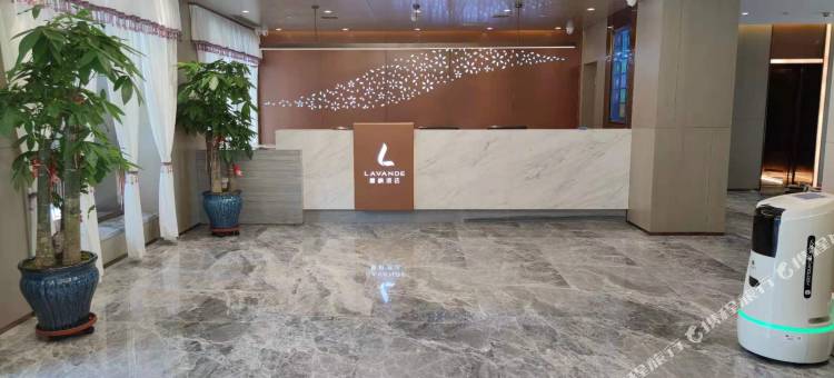 麗枫酒店(哈尔滨中央大街防洪纪念塔店)图片