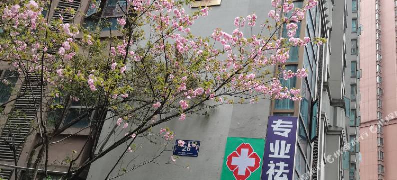 贵阳阳光青年旅舍图片