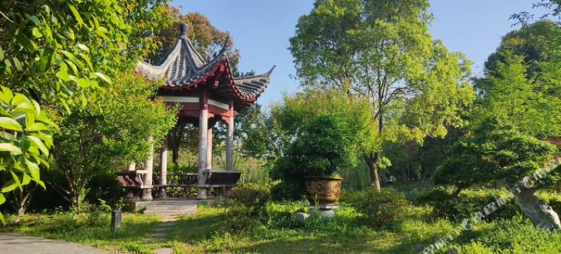 孝感金卉庄园渔家小院别墅图片