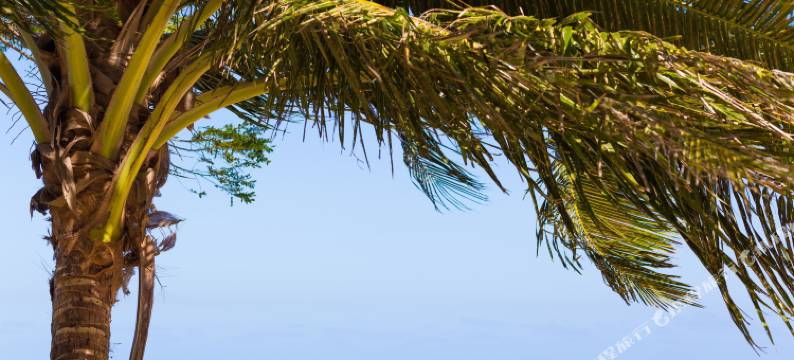 时髦鱼海滨度假村(Funky Fish Beach & Surf Resort)图片