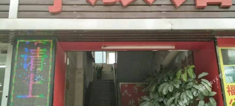 深圳叶子旅馆图片