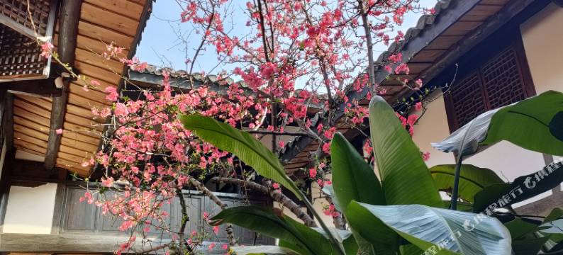 阆中陵江曲艺客栈图片