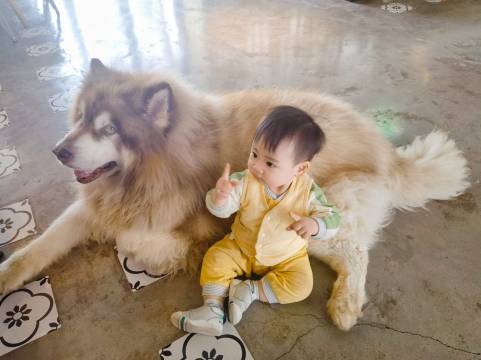 云山南Zenscape侘云集|雪山隐邸客栈(丽江束河古镇店)图片