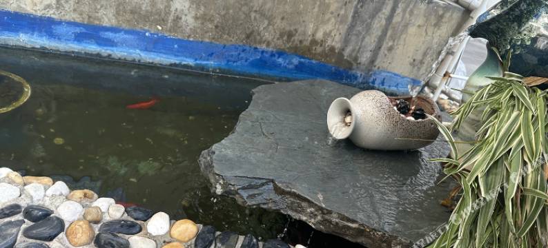 久栖客栈(大理古城南门店)图片