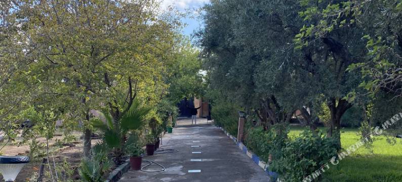 Guest House Qodwa图片