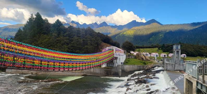 Grassland•四海山间丨原野观景美宿图片