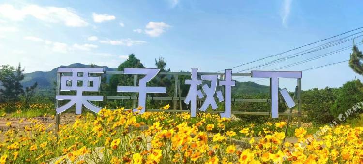 栗子树下民宿图片