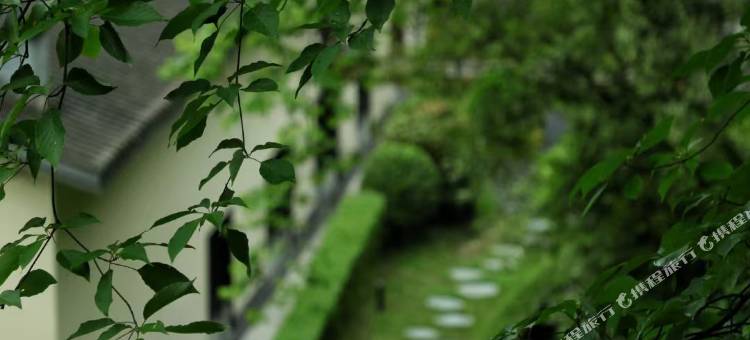 青城山无境山居图片