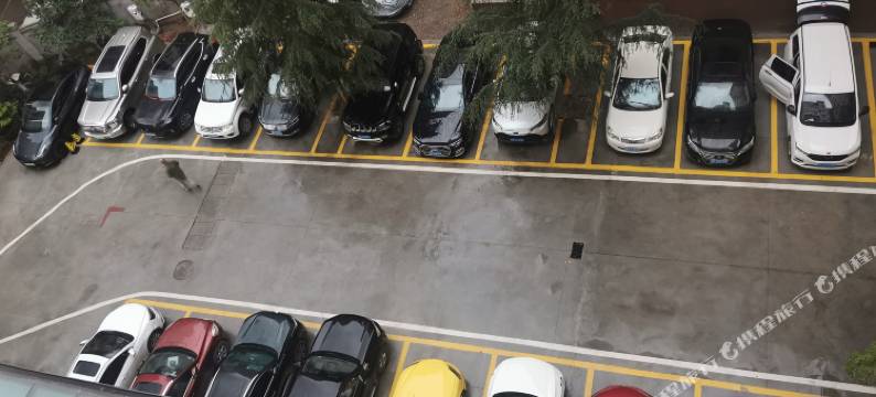 文县龍池宾馆图片