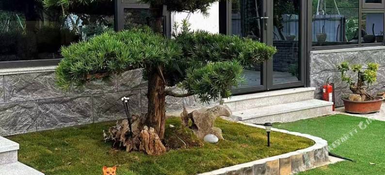 长兴山风予梦民宿(八都景区店)图片