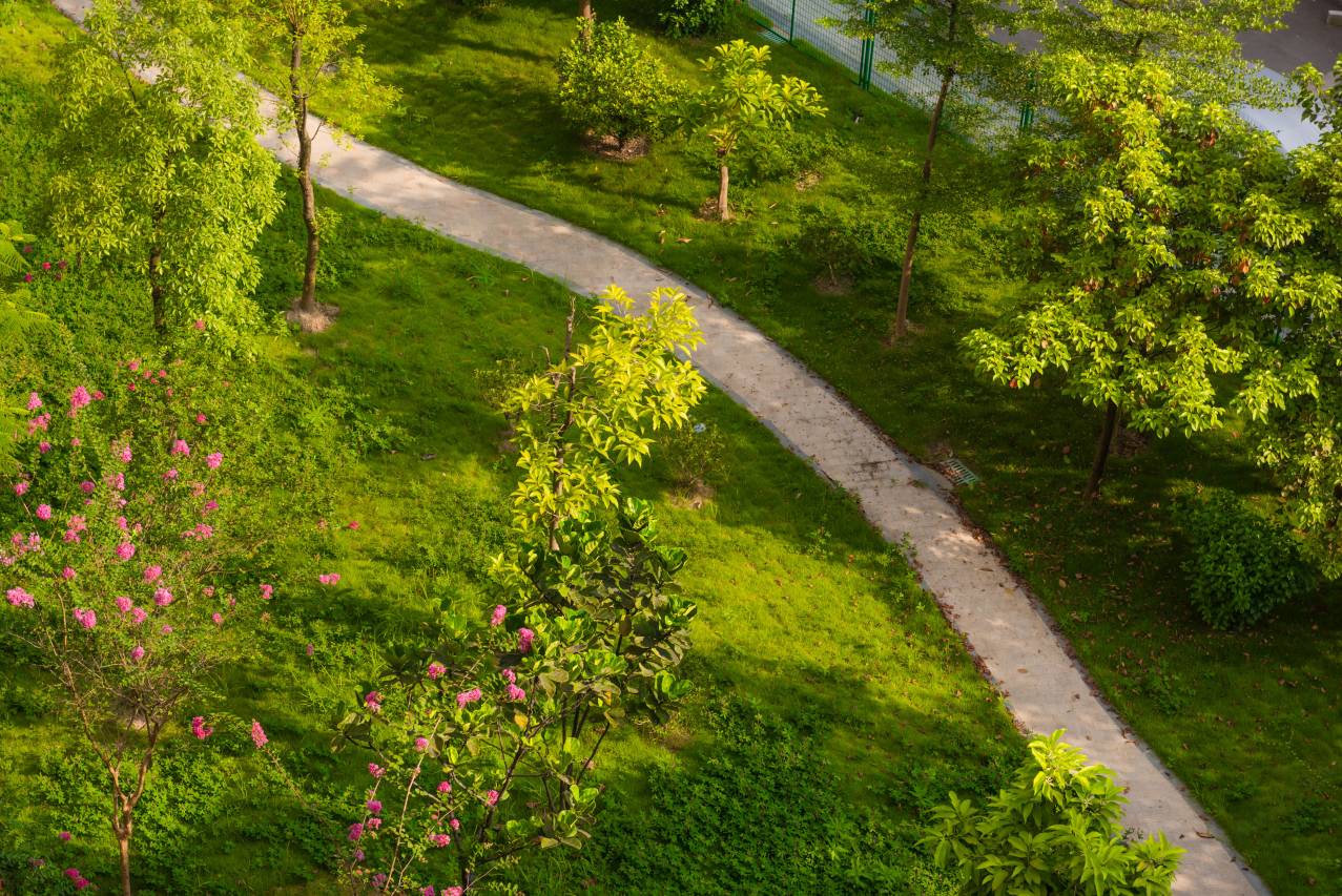 广州城市假期酒店(白云国际机场店)图片