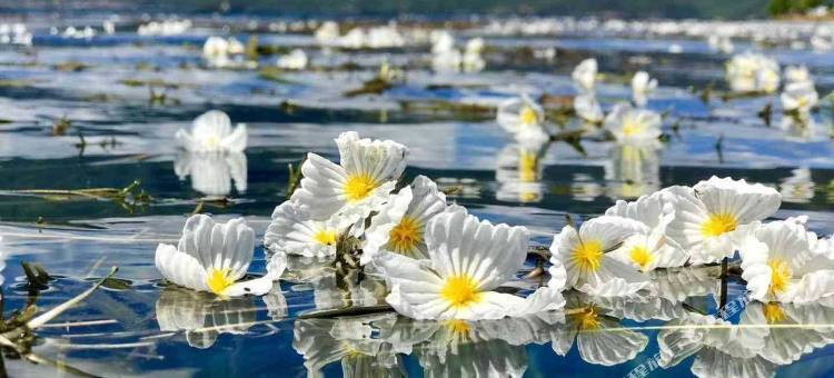 泸沽湖原舍民宿(情人滩店)图片