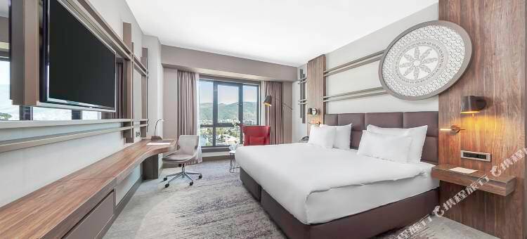 德狄曼托卡酒店(Dedeman Tokat)图片