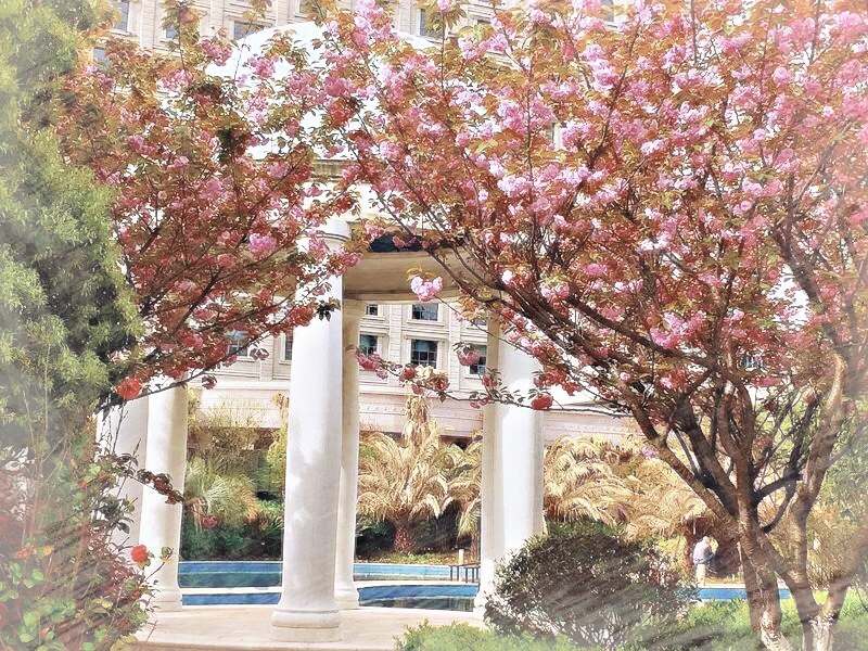 Sun Lake Hotel Over view