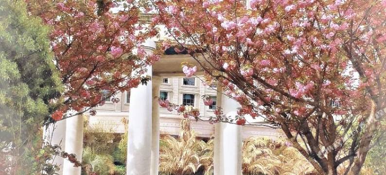 平湖圣雷克大酒店图片