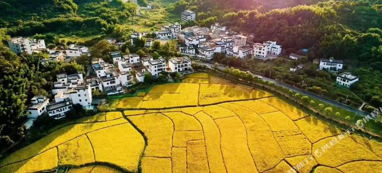广州稻喜湾温泉民宿图片