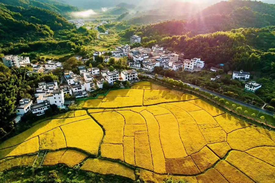 廣州稻喜灣温泉民宿