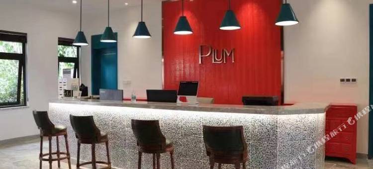 崇左梅园璞邸酒店(太平古城店)图片